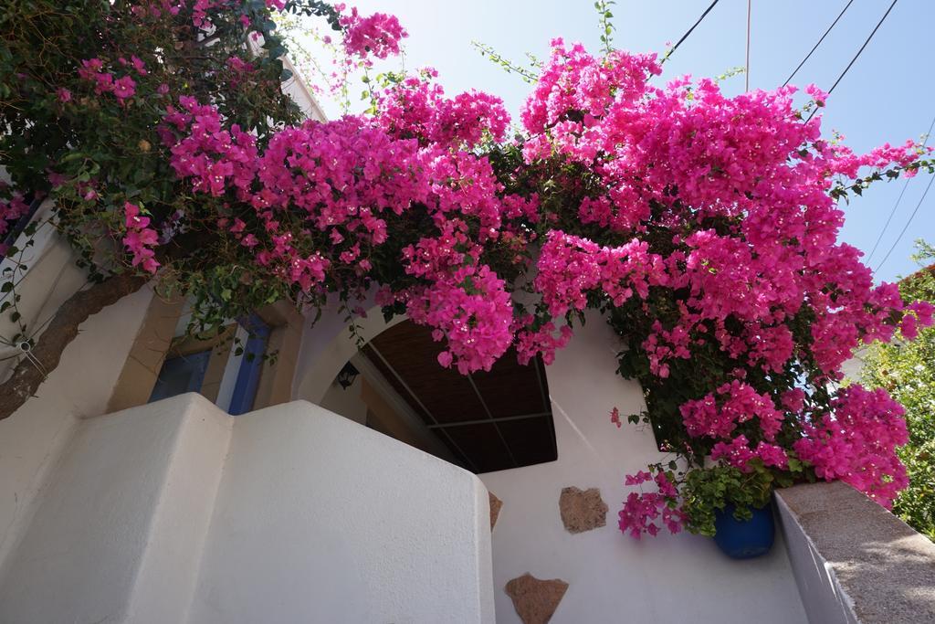 Patmos Maria Studios Skála Zimmer foto